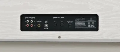 255029
