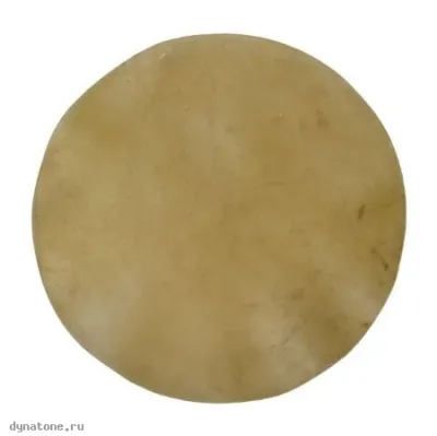 282256