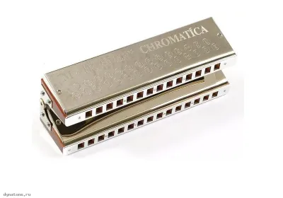 278181