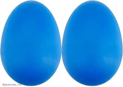 281579