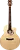 529294
