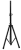 244604