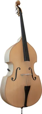 46629