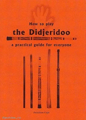 294263