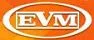 EVM / Россия