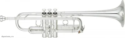 285433