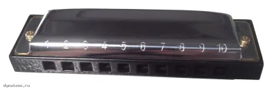 278222