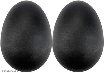 281576