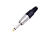 370704