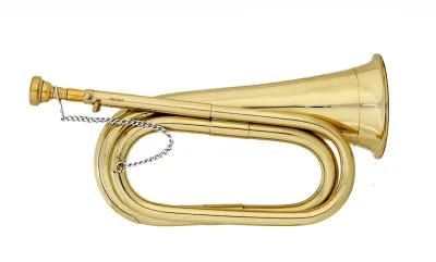 54133