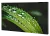 615445