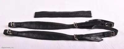 278864