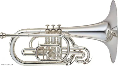 285194