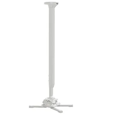 509305