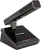 590031