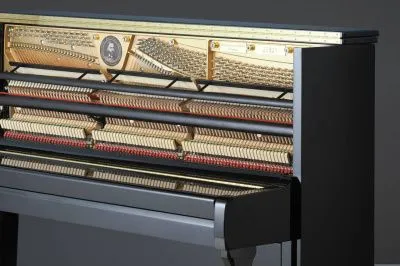 254976