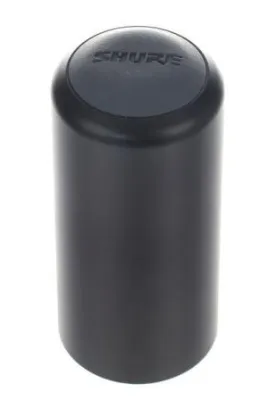 323234