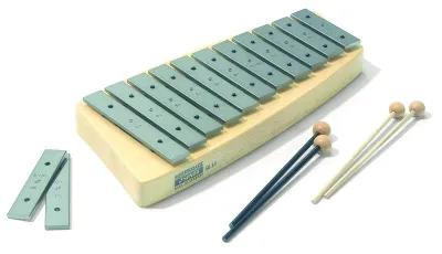 45041