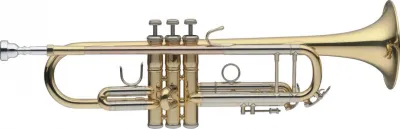 423181