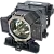 338761