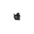562529