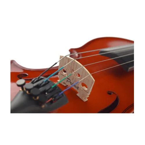 399291