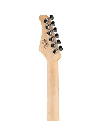 355667