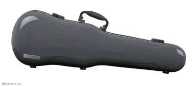 285893