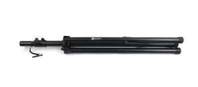 452006