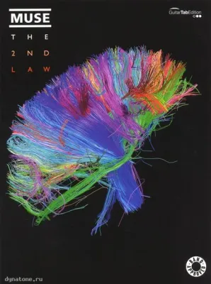293843
