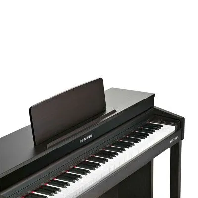 255028