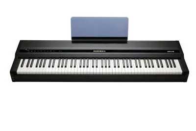 255037