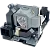 336491