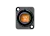554706