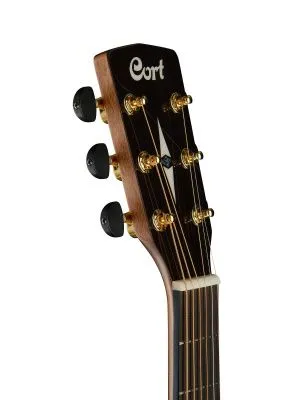161606