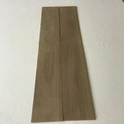 51854