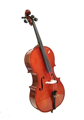 45796