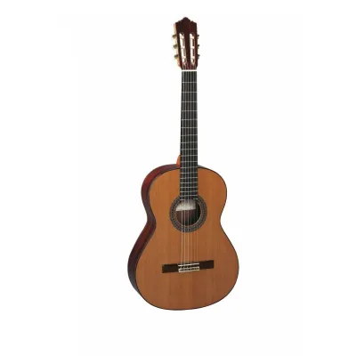 268813