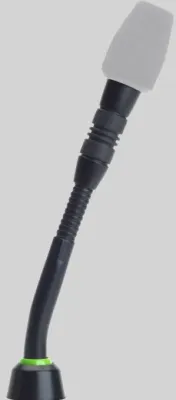 394885
