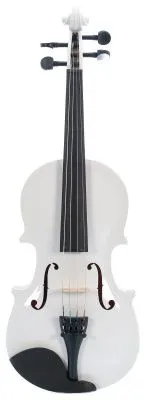 502529