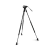 522603