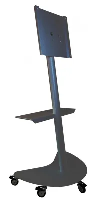 336681