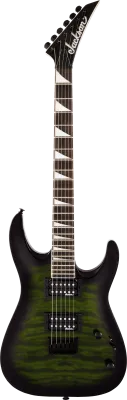 263850