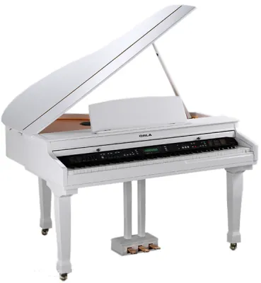 46097