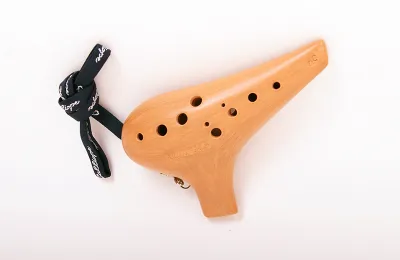 50584