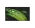 538551