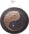528804