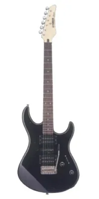 166304