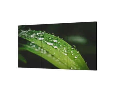 538551