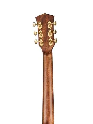 566509